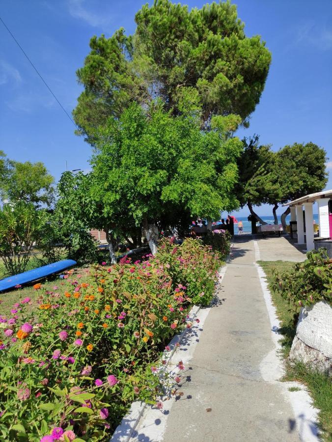Villa Nea Zoi Moraḯtika Exterior foto